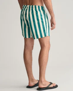 Block Striped Swim Shorts
