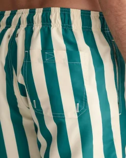 Block Striped Swim Shorts