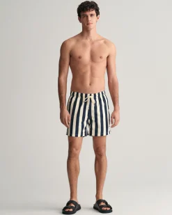Block Striped Swim Shorts