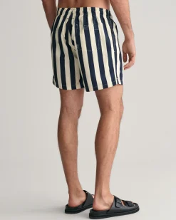 Block Striped Swim Shorts