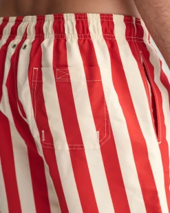 Block Striped Swim Shorts