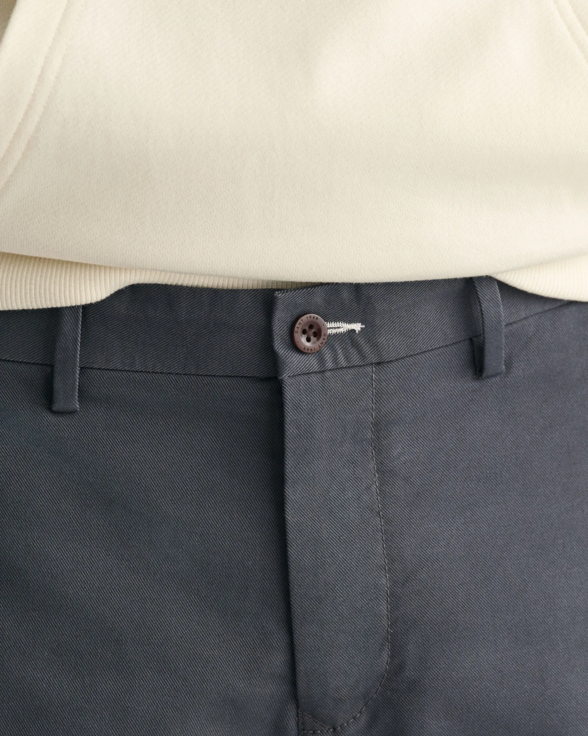 Regular Fit Chino Shorts