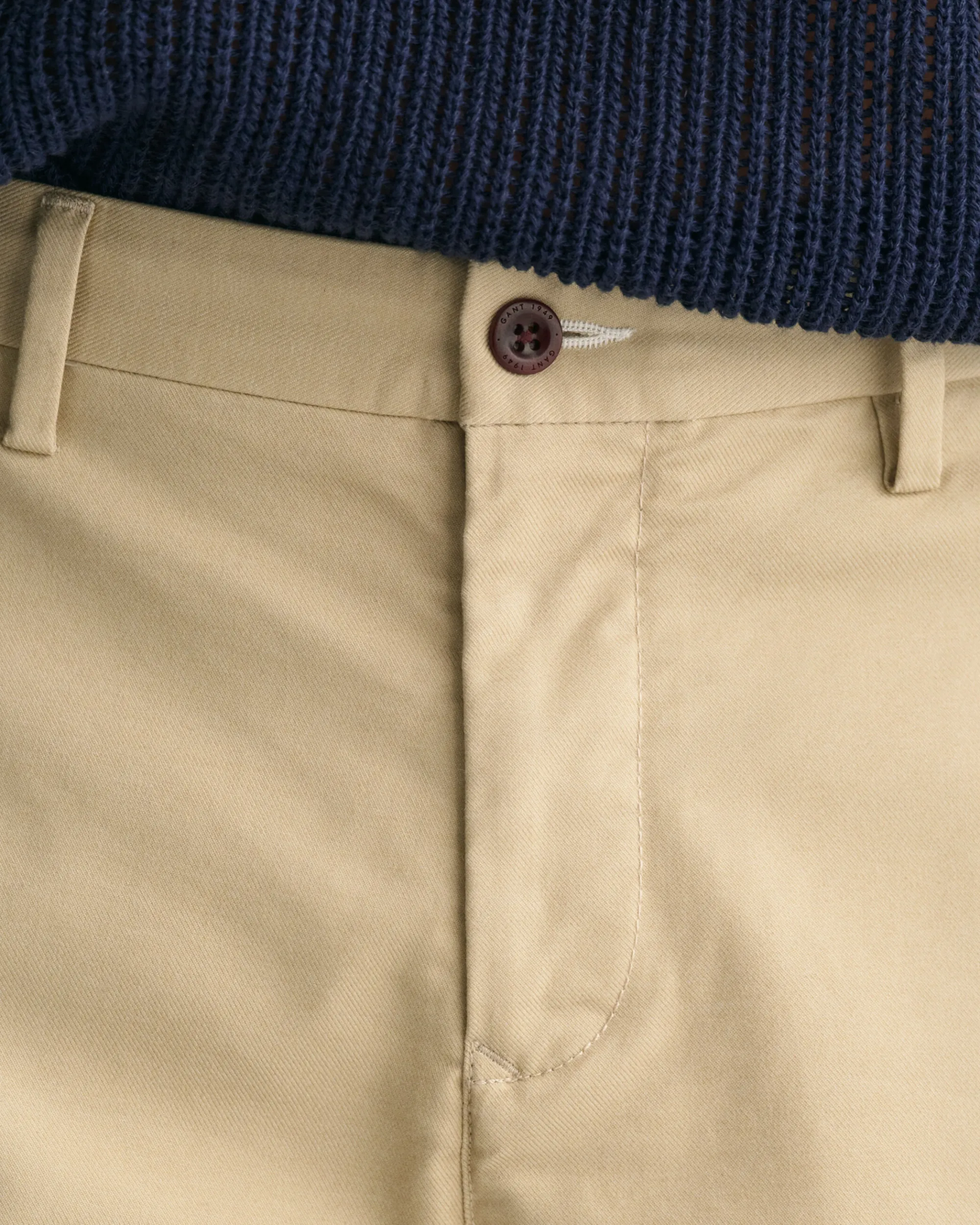 Regular Fit Chino Shorts