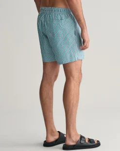 Seersucker Swim Shorts