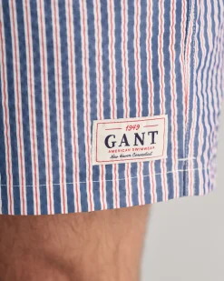 Seersucker Swim Shorts