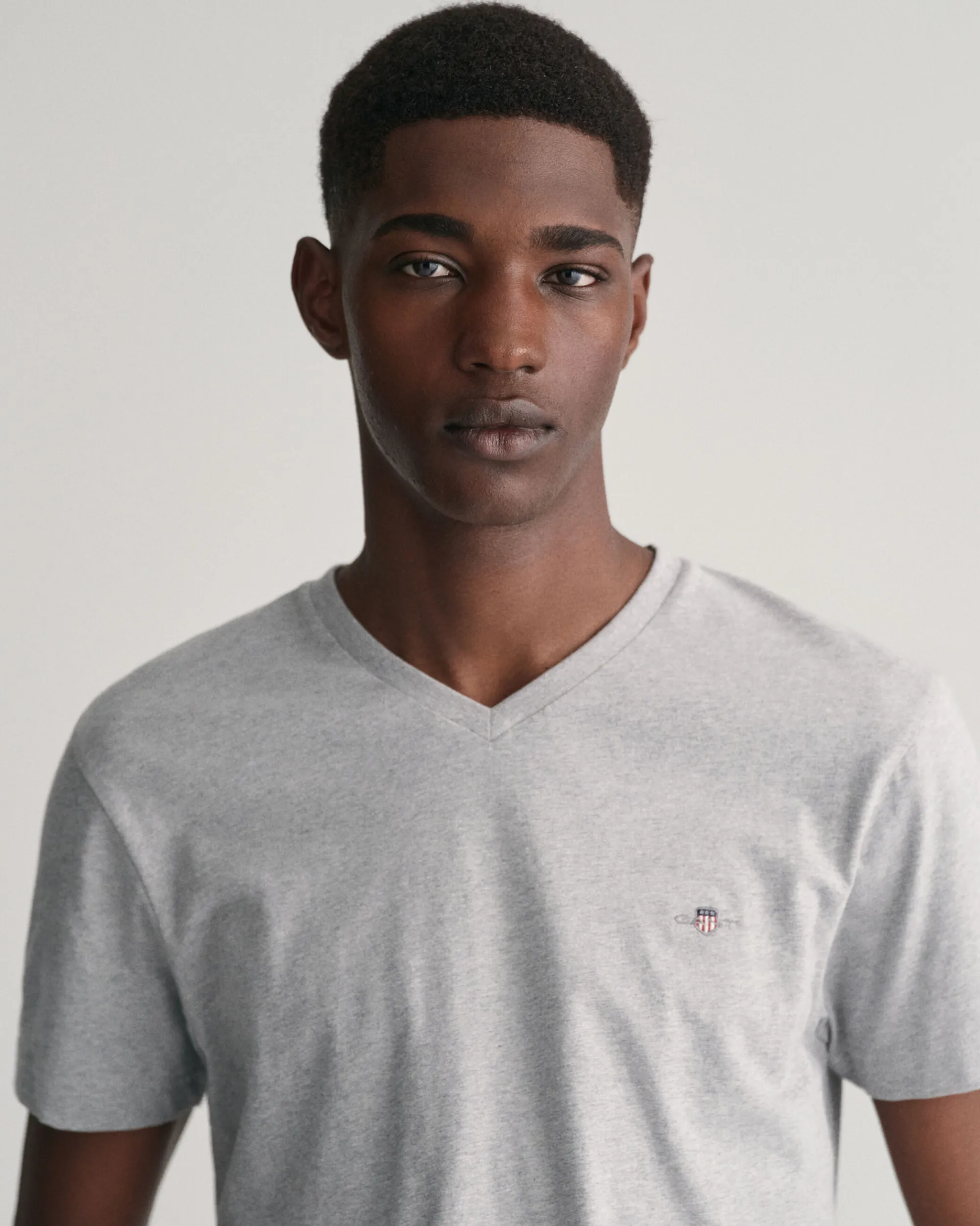 Slim Fit Shield V-Neck T-Shirt