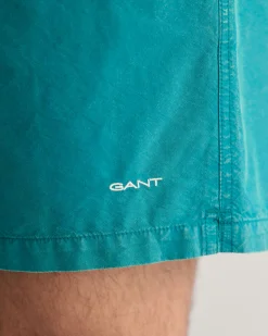 Sunfaded Swim Shorts