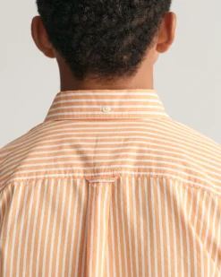 Teens Shield Striped Poplin Shirt