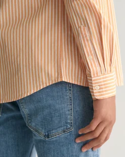 Teens Shield Striped Poplin Shirt