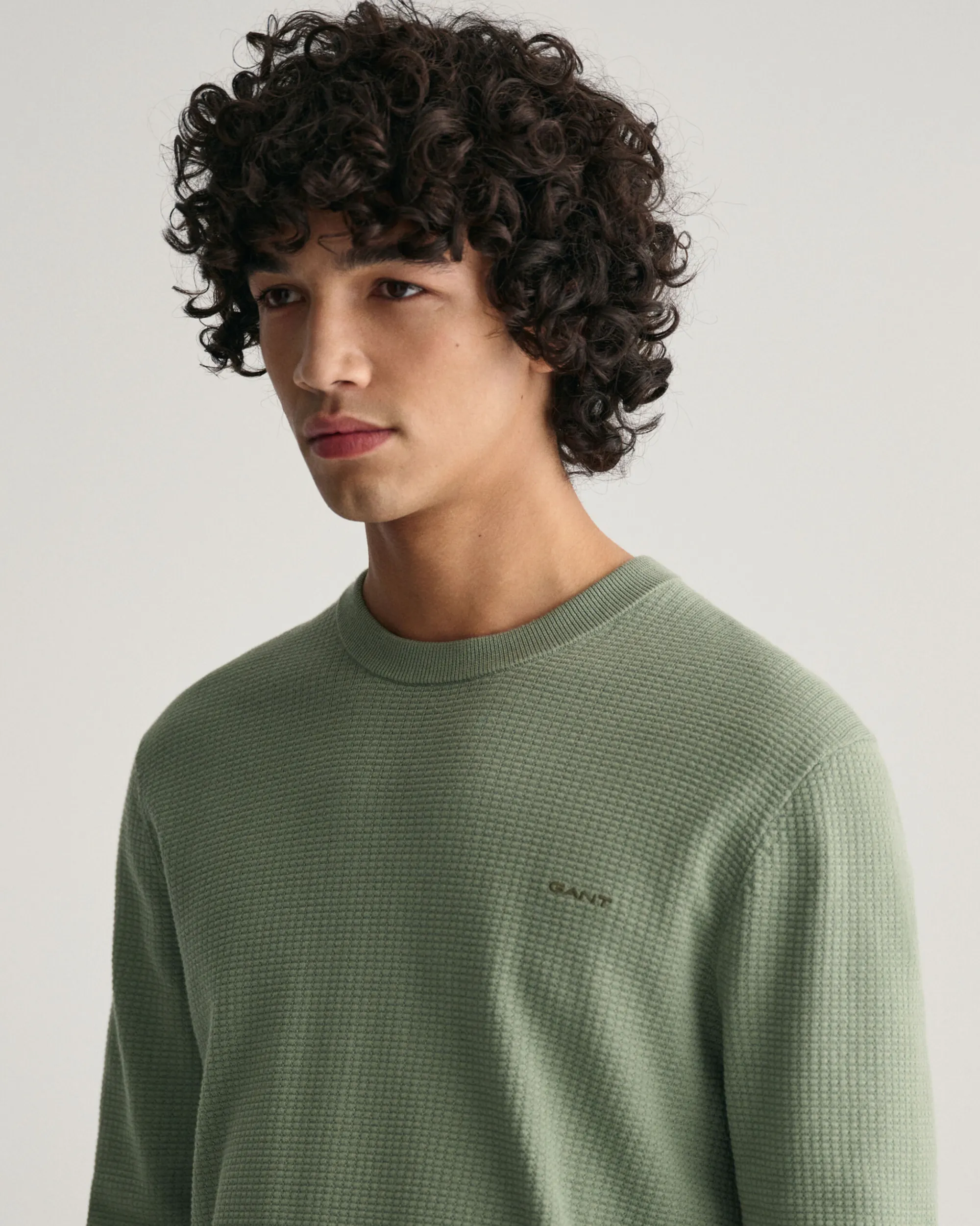 Textured Cotton Crew Neck Sweater
